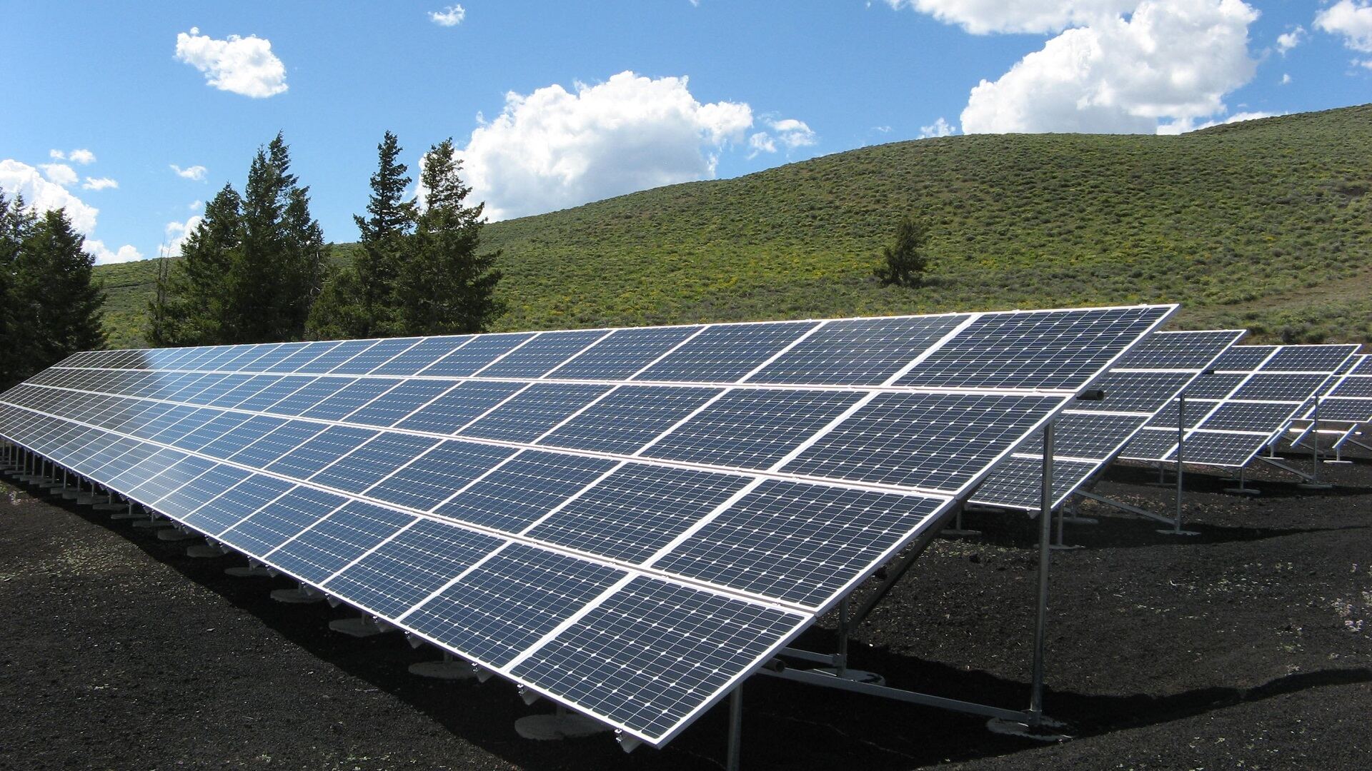 Working Towards A Sustainable World 1